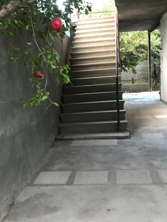 Guesthouse "Kistauri" Telavi Exterior foto